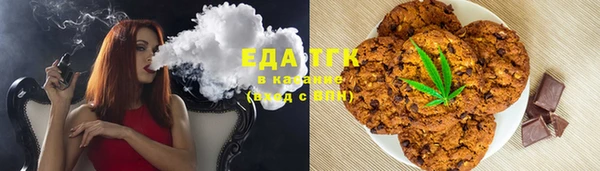 индика Верхний Тагил