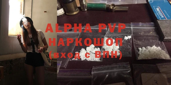индика Верхний Тагил