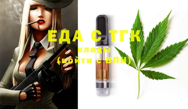 индика Верхний Тагил