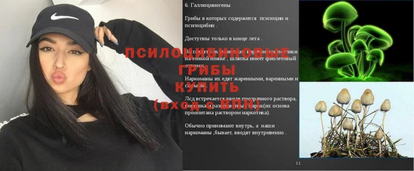 стафф Верея