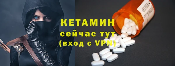 индика Верхний Тагил