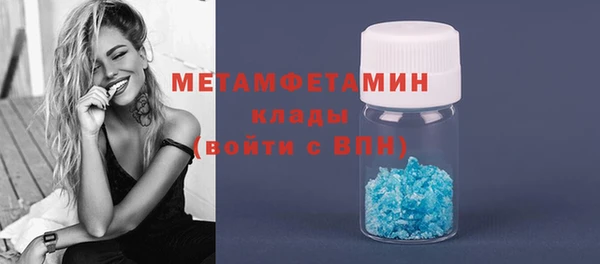 индика Верхний Тагил