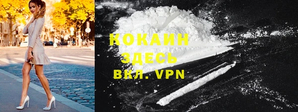 индика Верхний Тагил