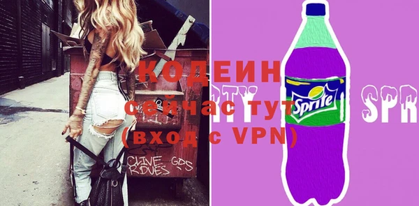 индика Верхний Тагил