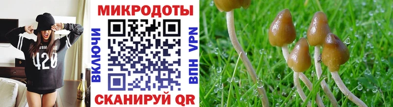 Псилоцибиновые грибы мицелий  Лысьва 